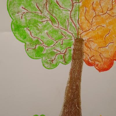 20201116 182947